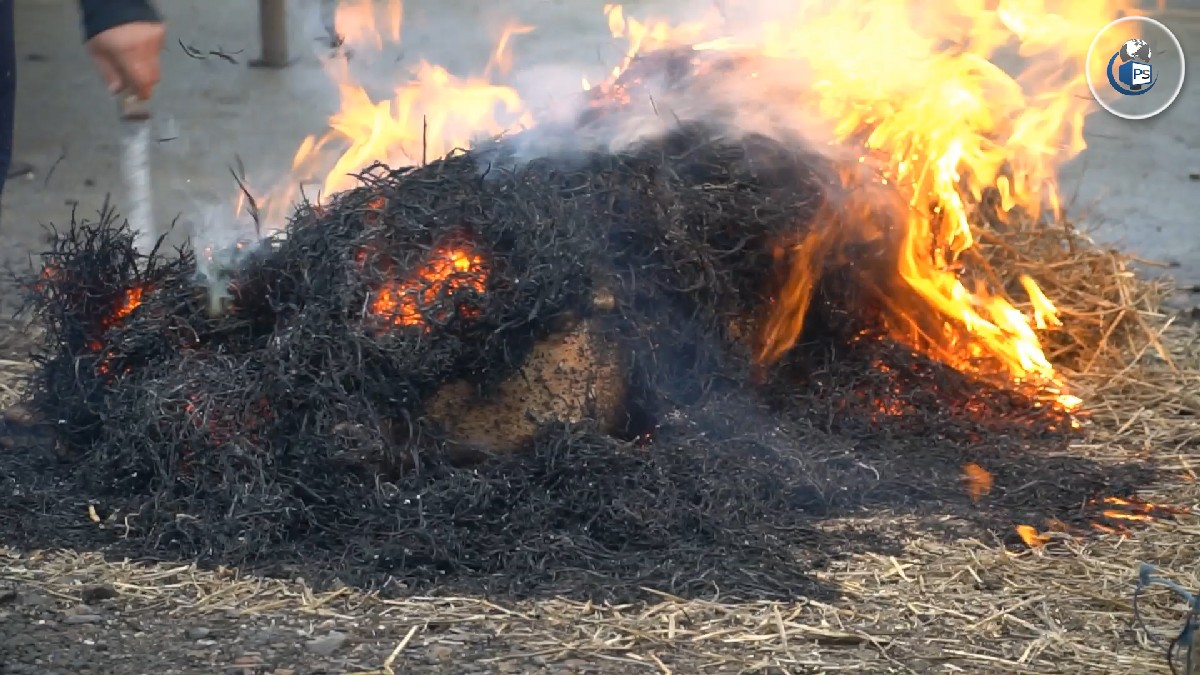 ATENȚIE. O mare primărie din județ îi amendează pe cei care taie porcul în fața casei