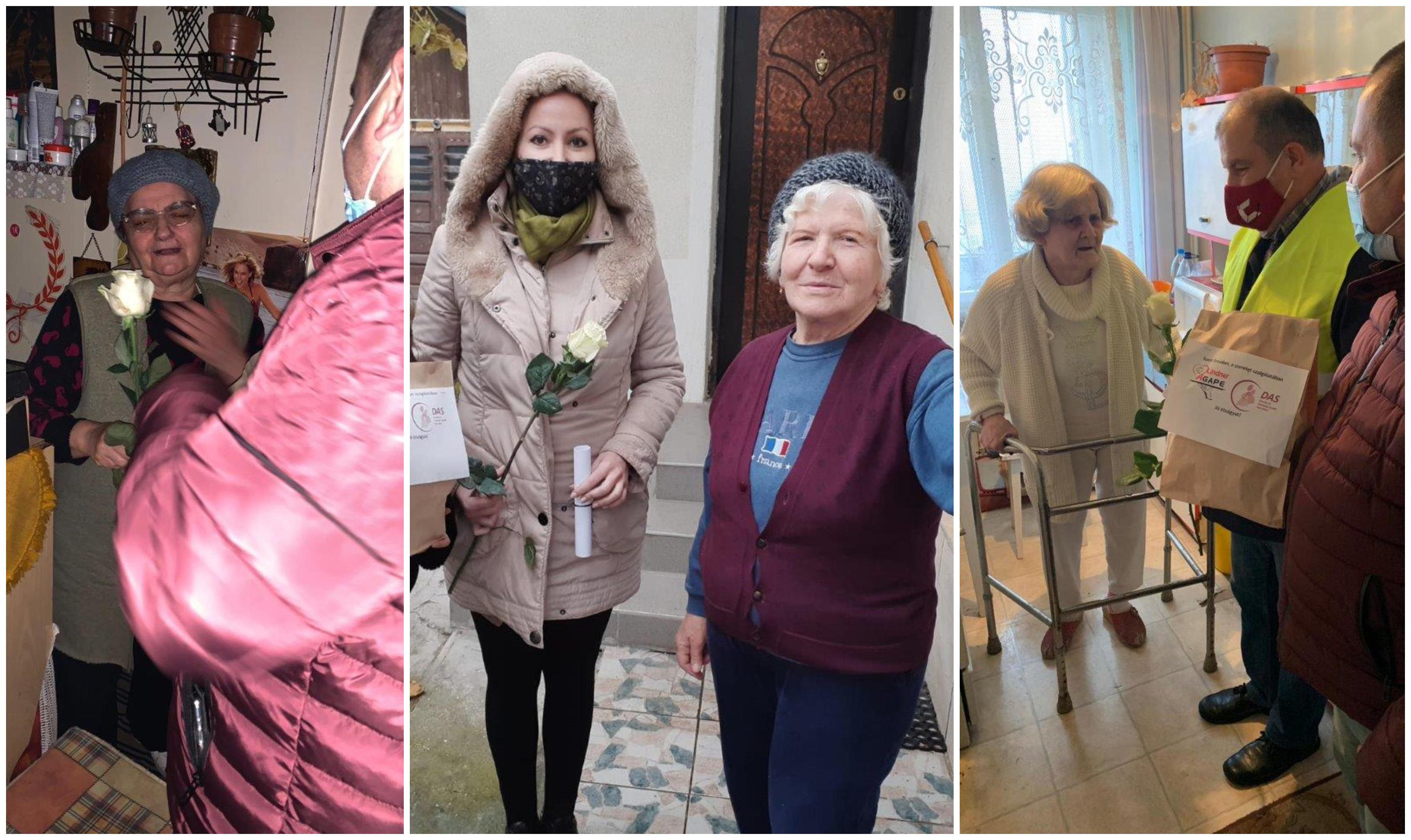 FOTOGALERIE. Trandafiri și o masă caldă pentru bunicuțele singure din Satu Mare