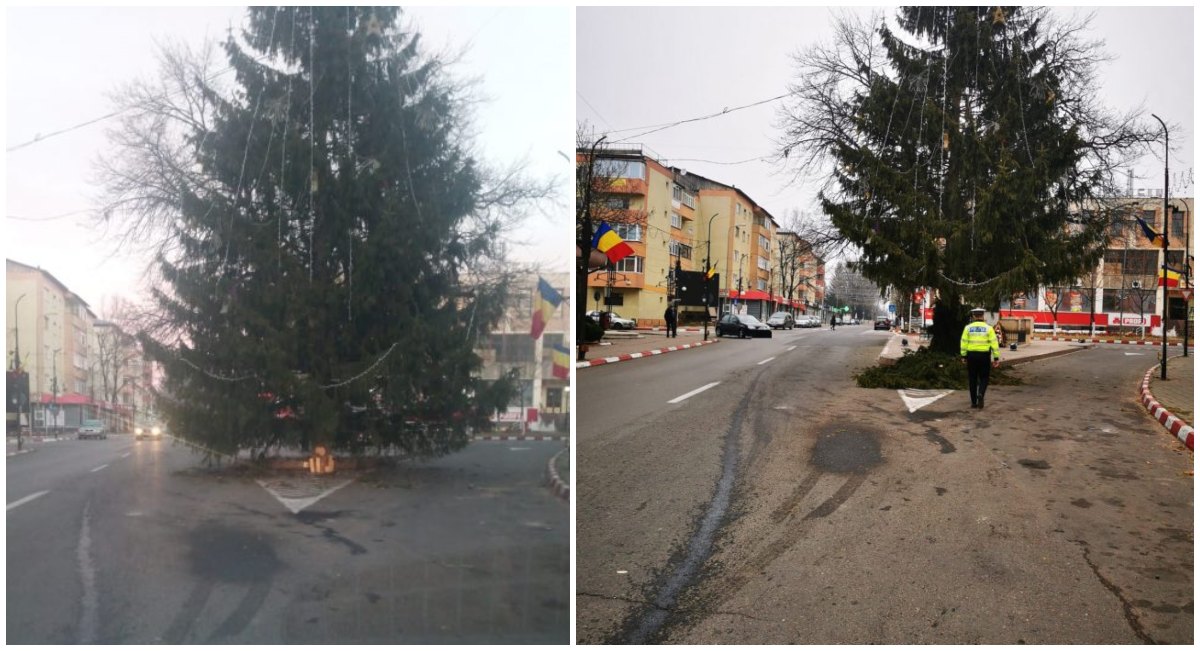 FOTO. Se întâmplă în România. Au montat un brad imens în intersecție. Mașinile treceau printre crengi