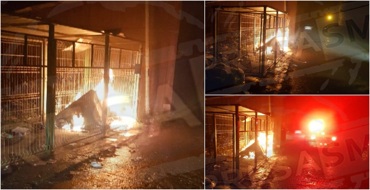 FOTO. Foc pus intenționat în municipiul Satu Mare! Pericol de extindere