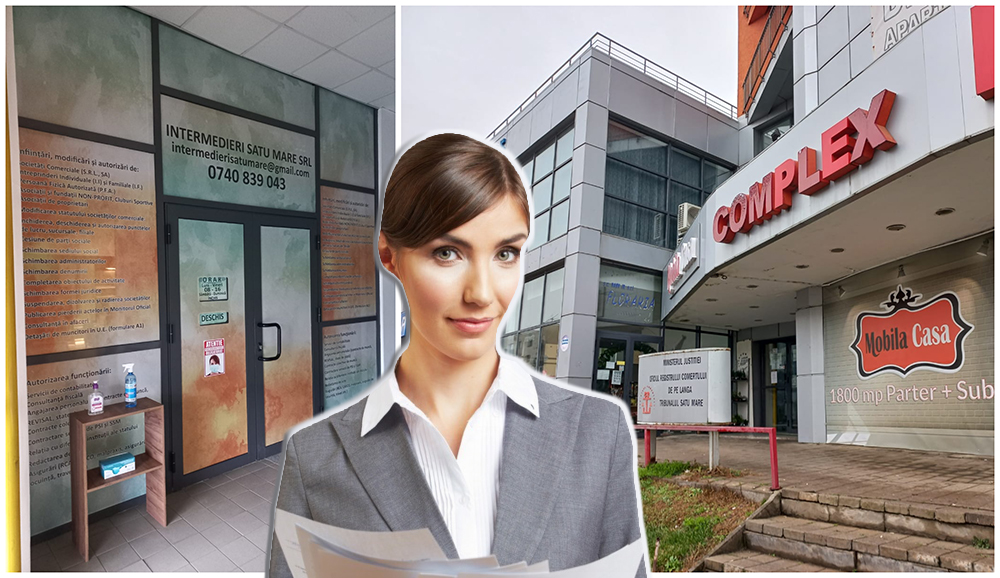 Înființarea unei firme, la un telefon distanță! Experții din Satu Mare care simplifică birocrația