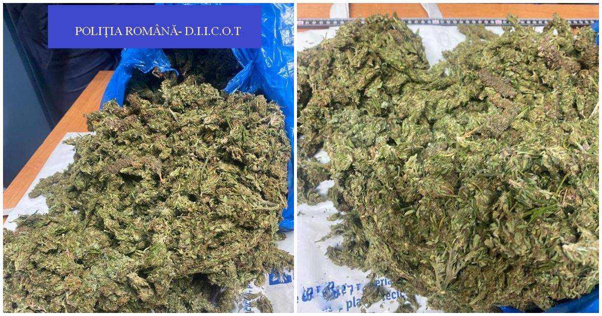 FOTO. Un polițist din Satu Mare a cumpărat kg de droguri de Crăciun. Vânzătorii, direct după gratii