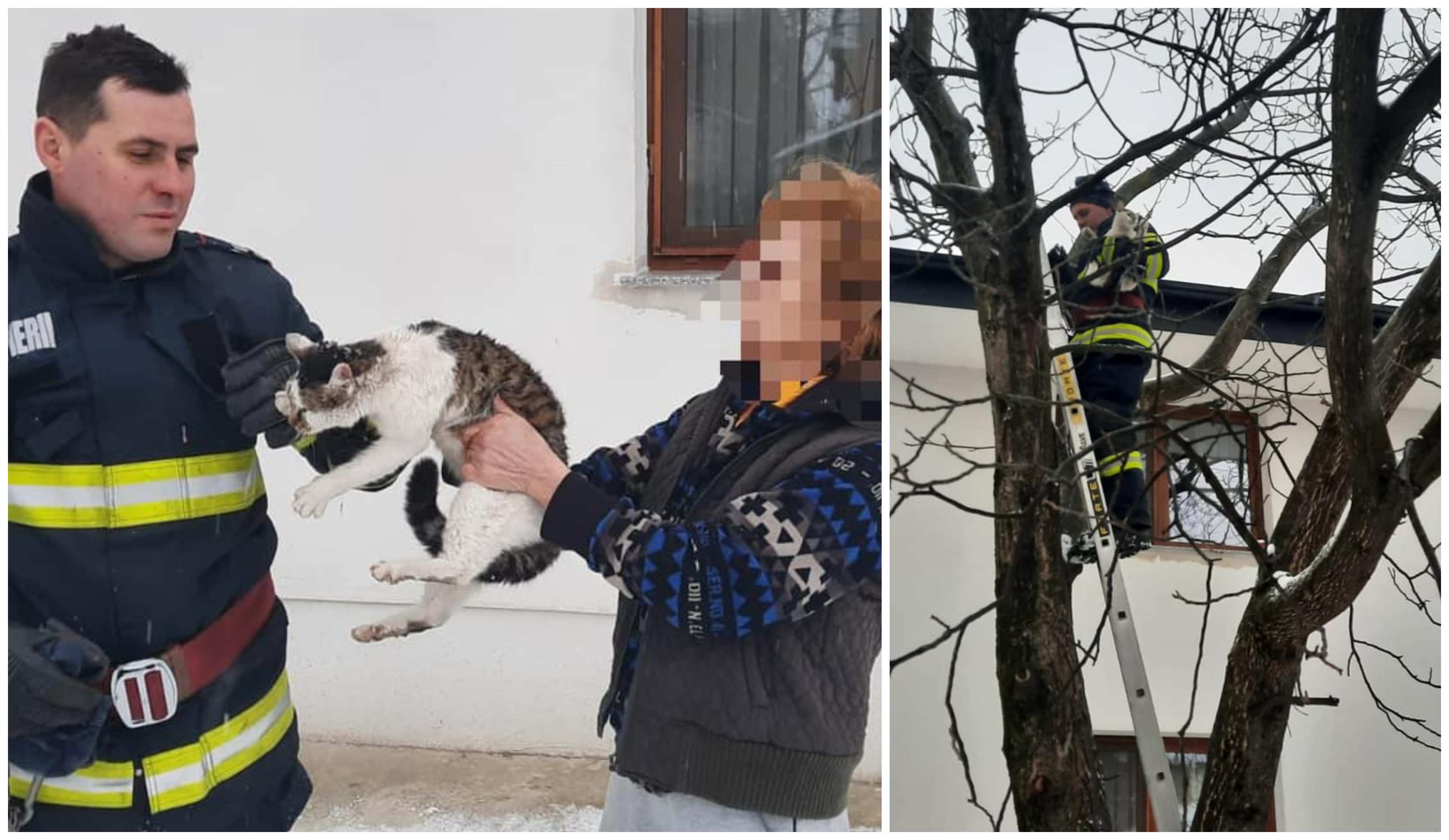 FOTO. Orice viață contează. Gest de suflet al pompierilor din județul Satu Mare