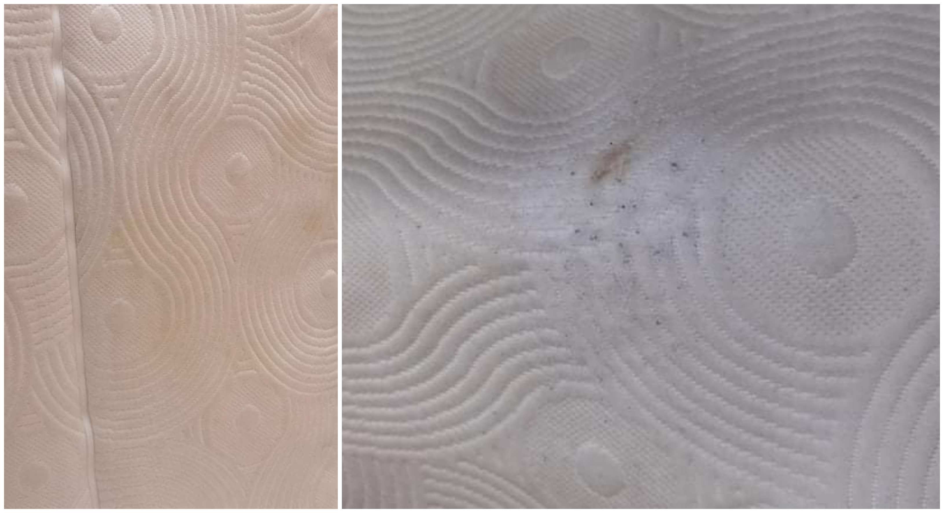 FOTO. Atenție la amatori! Curățătorie mobilă cu rateu. Vă împut casa…la reducere