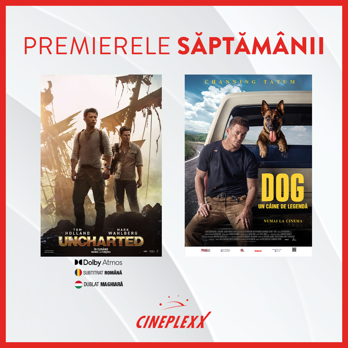 Ce filme noi vedem la Cineplexx Satu Mare din 18 Februarie