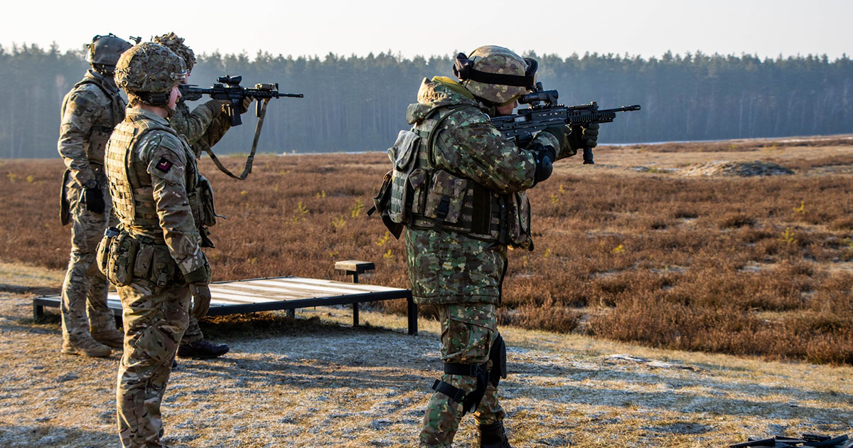 Sondaj. Câți dintre români ar lupta pentru țară în caz de război și câți s-ar refugia în statele vecine