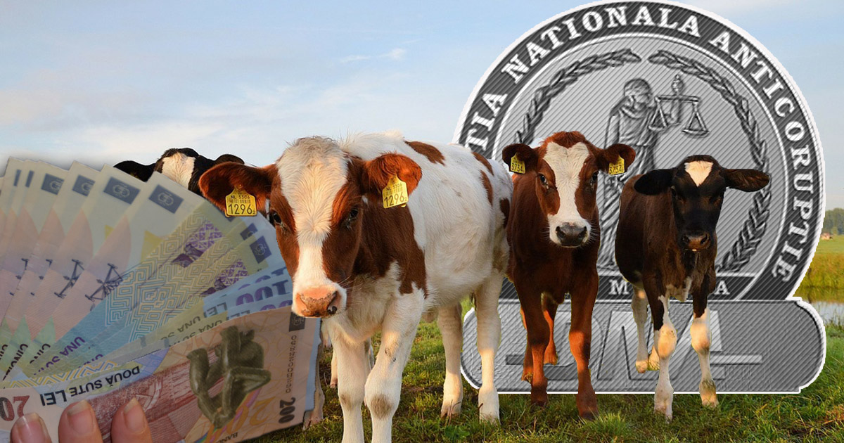 Dosar DNA. Fermierul din județul Satu Mare care făcea bani grei din pix, la propriu