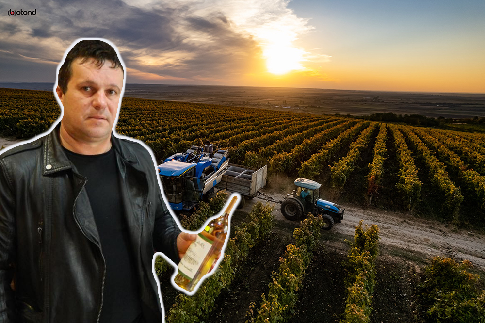 FOTOGALERIE. Povestea vinului de Dobra, comoara județului. Sătmăreanul care a investit în visul său
