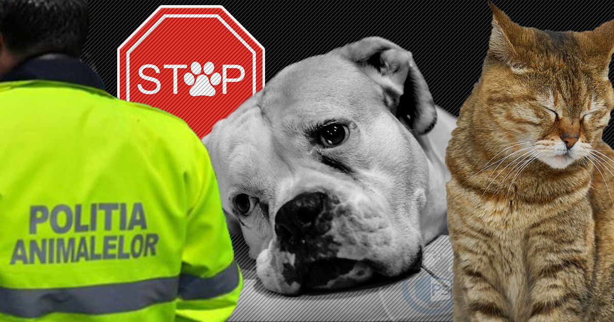 Sute de sătmăreni, sancționați de Poliția Animalelor. Amenzile ajung la zeci de mii de lei