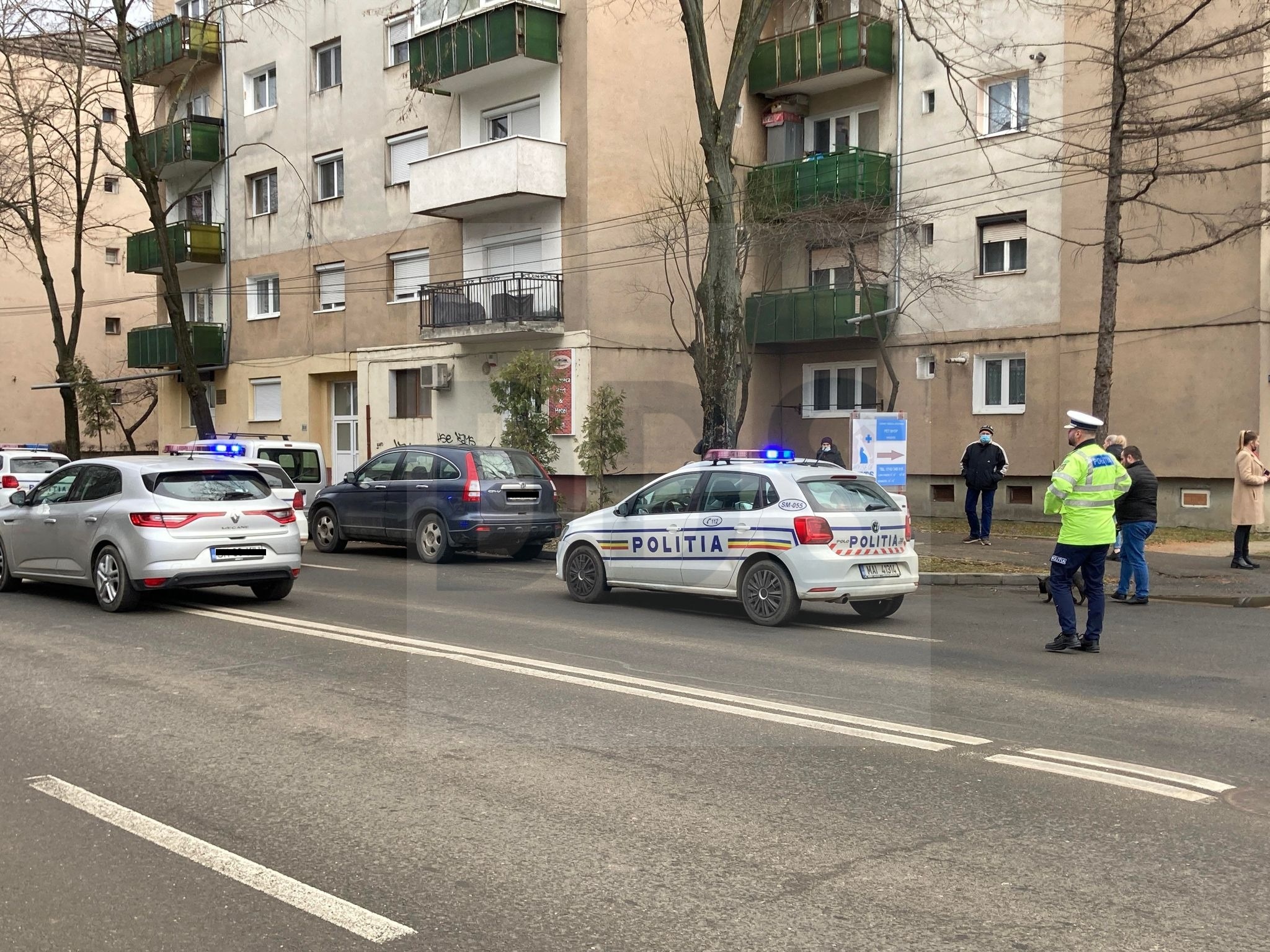 Municipiul SATU MARE. O mamă le-a cerut judecătorilor ca să o scape de copii