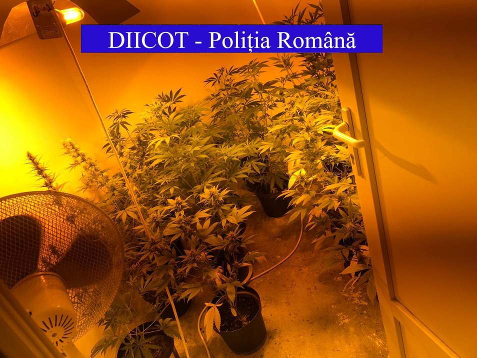 Fabrică de vise, amenajată de un sătmărean în propria locuință. Cu instalații ”profi”