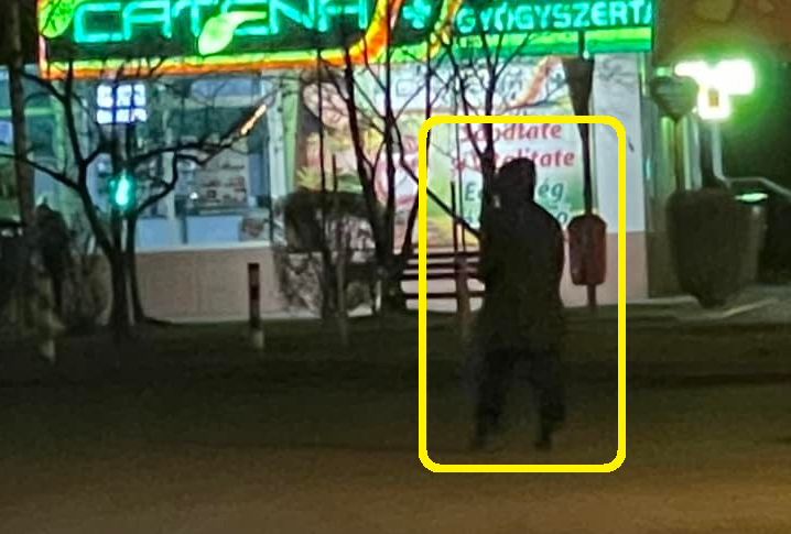 FOTO/VIDEO. Indivizi dubioși puși pe furat și vandalizat mașini în Satu Mare