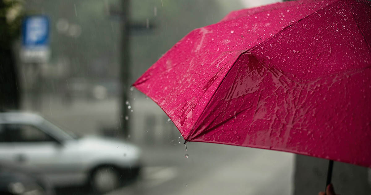 Cum va fi vremea la Satu Mare. Meteorologii nu au vești bune. Minime chiar și de 4 grade Celsius