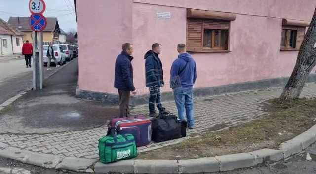 Zeci de refugiați ucraineni și-au găsit de lucru în Satu Mare. În ce domenii s-au angajat