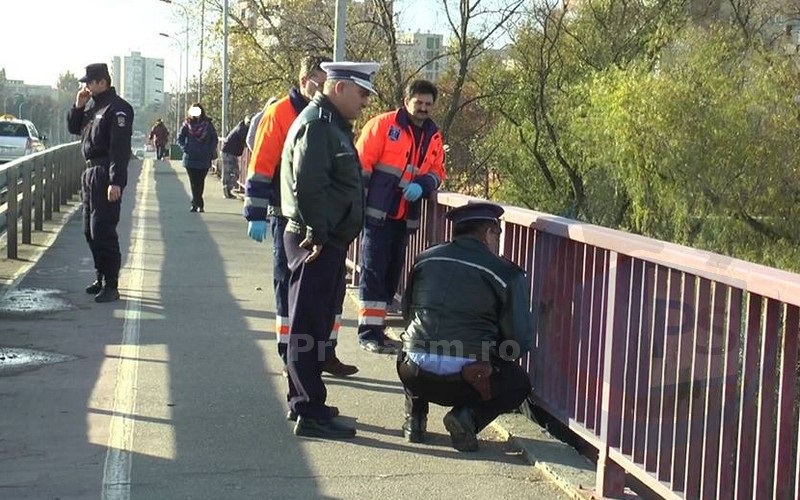 Campanie Forța Dreptei pentru construirea de garduri de protecție pe podurile din Satu Mare