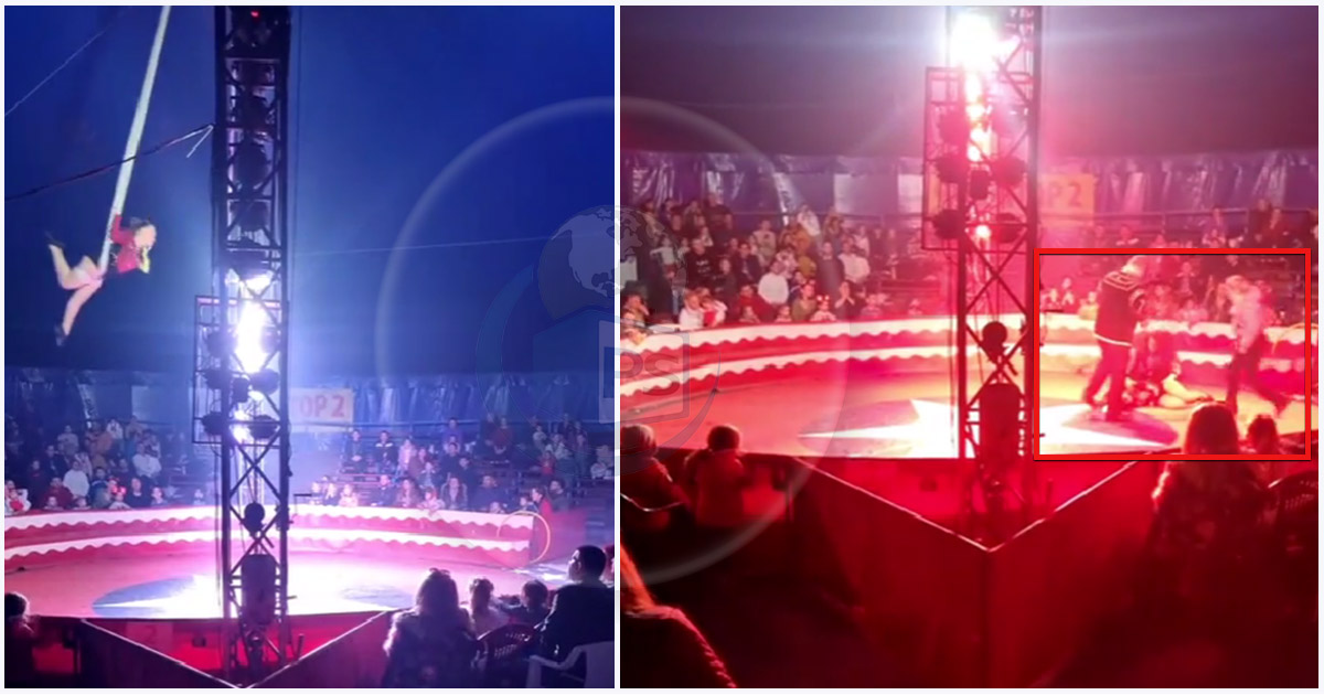 VIDEO. Momentul în care acrobata de la circ cade în gol, surprins live în Satu Mare