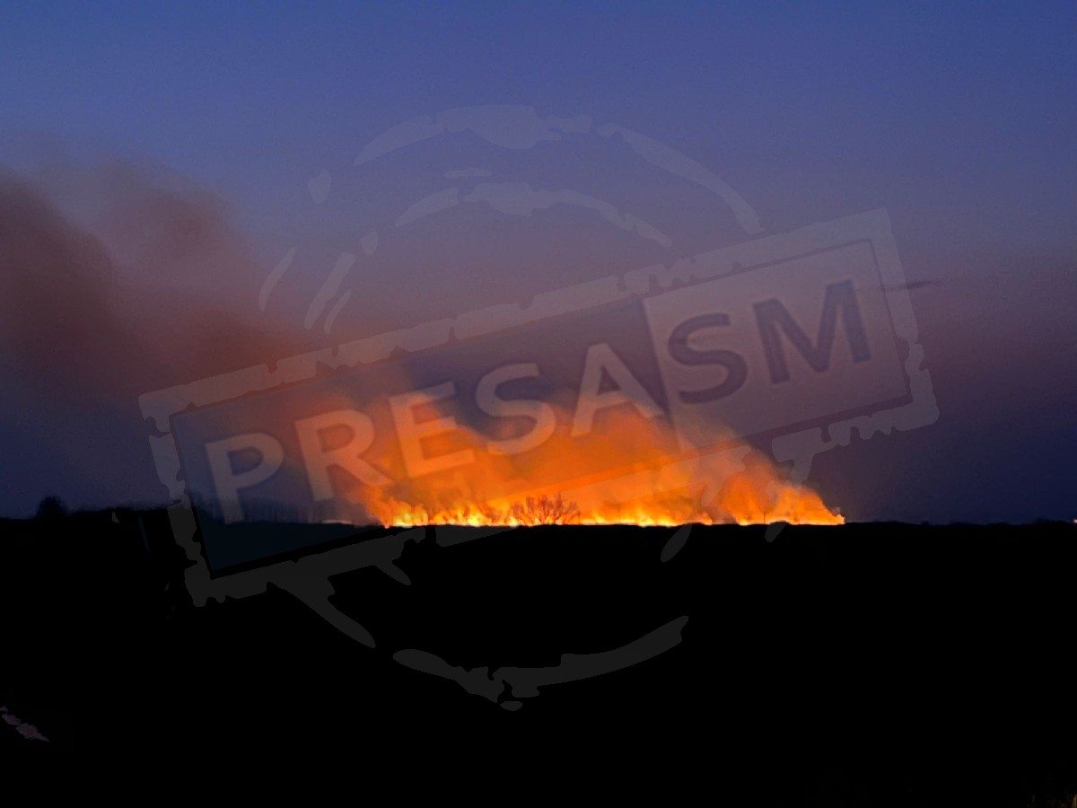 FOTO/VIDEO. Incendiu uriaș în județul Satu Mare, aproape de granița cu Ungaria