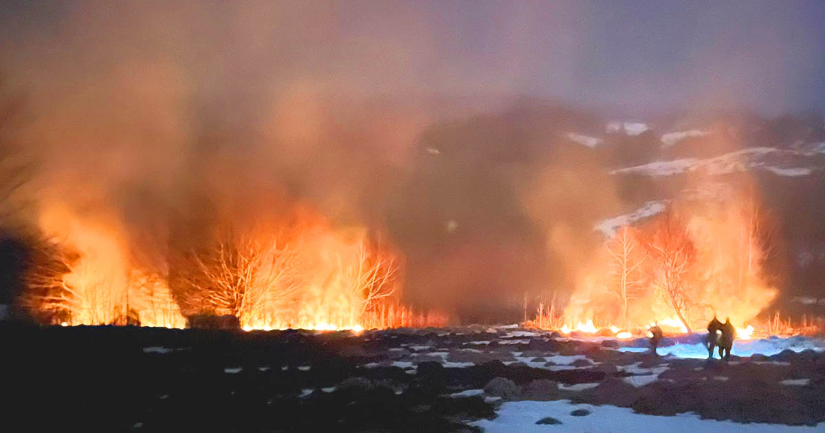 Pompierii trag un semnal de alarmă! Incendiile de vegetație distrug bunuri și vieți omenești