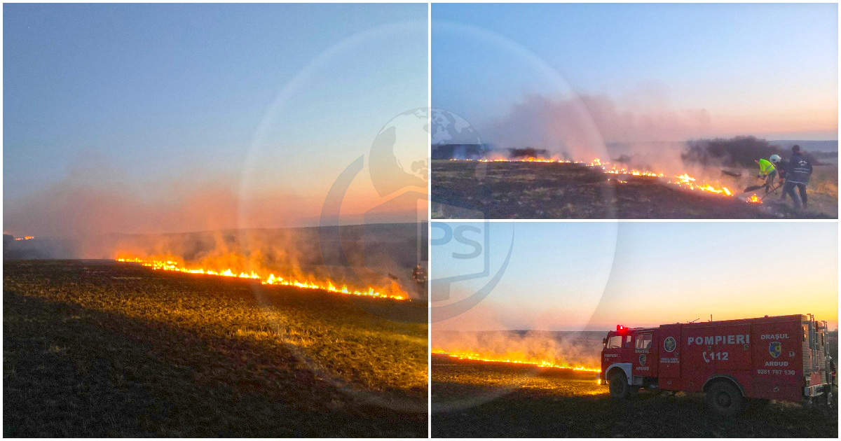 FOTO/VIDEO. Incendiu uriaș în județul Satu Mare. Dealuri în flăcări, pompierii fac apeluri disperate către populație