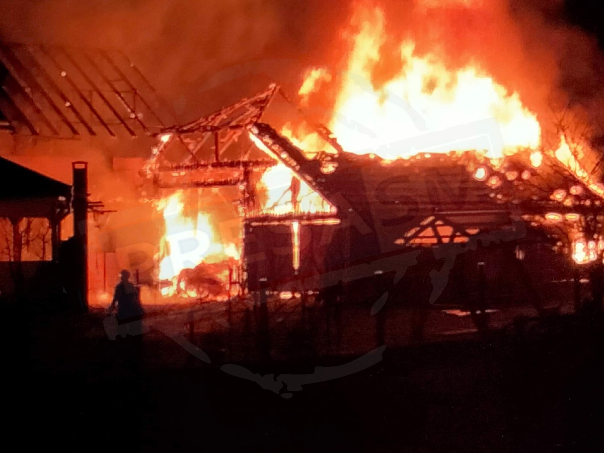 Incendiu de amploare în județ. Pompierii au salvat mai mulți cai și porci