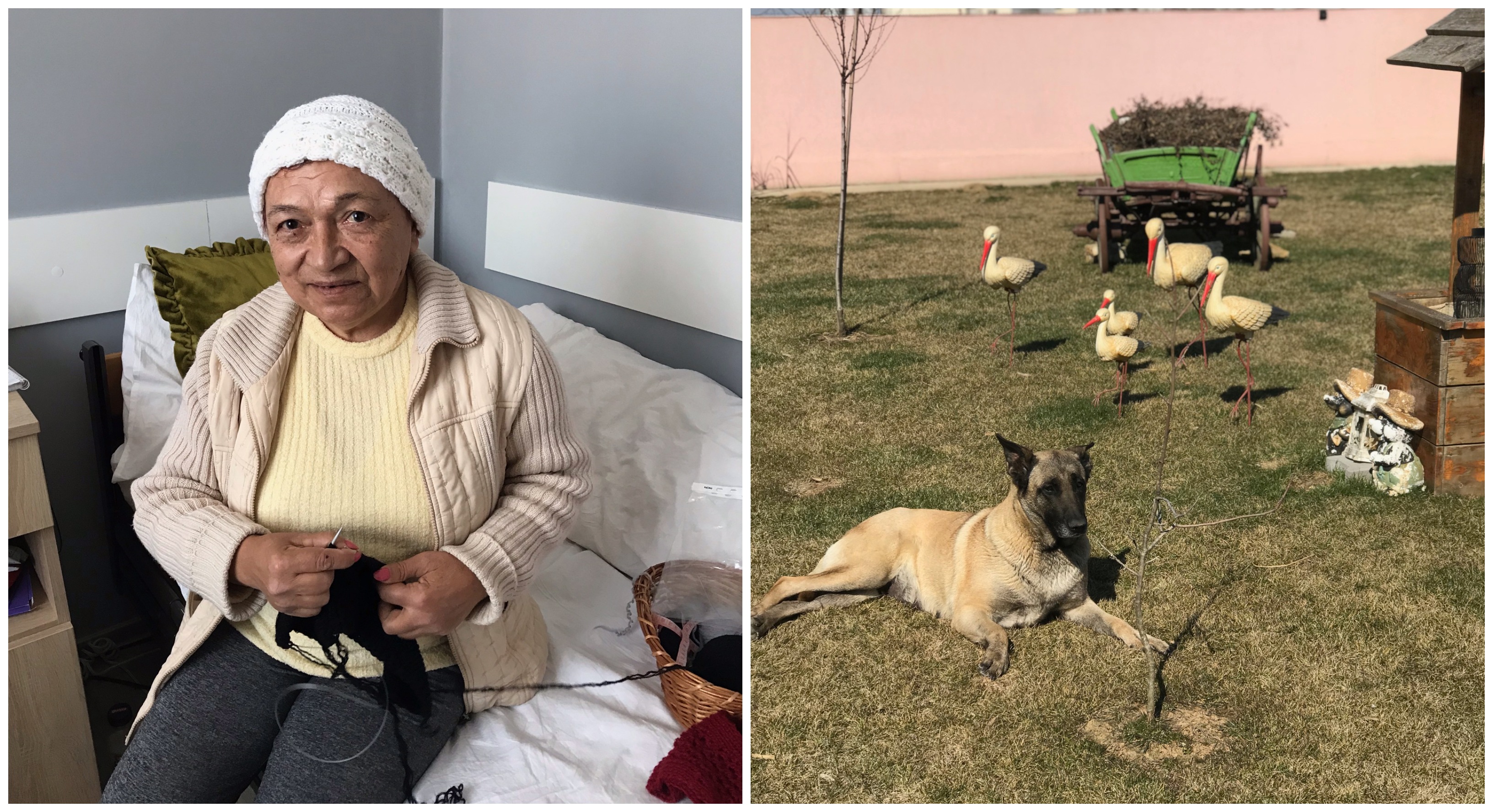 FOTO. Povestea dramatică a sătmărencei Iuliana. Bătută și umilită, și-a găsit în sfârșit liniștea