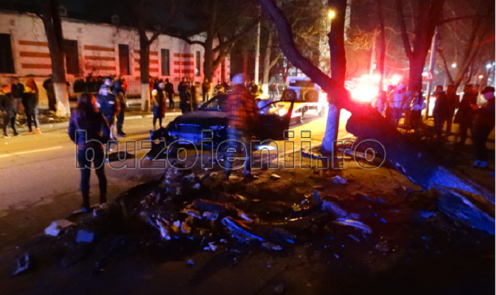 FOTO. Un AUDI de Satu Mare a secerat un copac, după coliziunea cu o Skoda