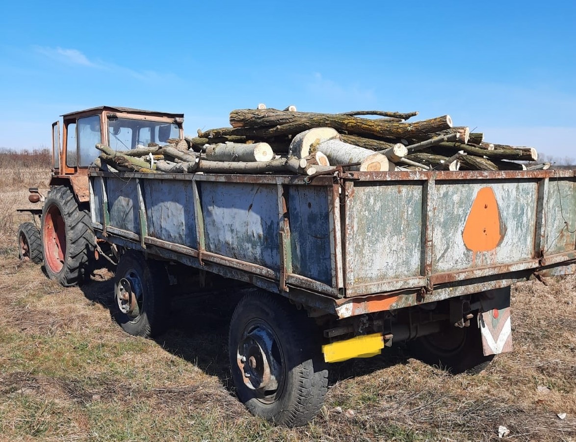 Prinși la furat de lemne. Polițiștii sătmăreni au dat amenzi de zeci de mii de lei