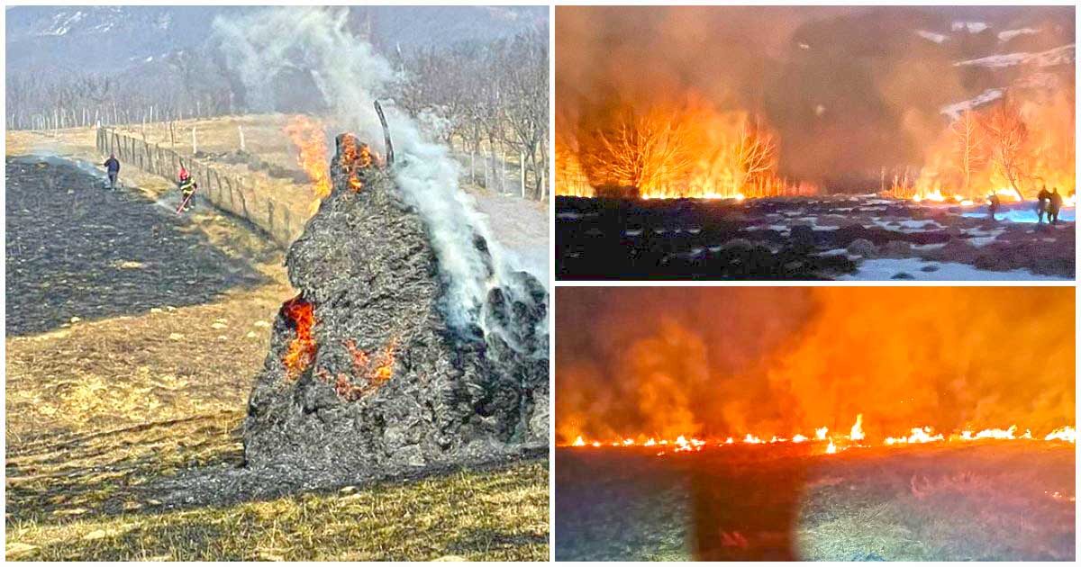 FOTO. Incendiile de vegetație fac ravagii în județ. Weekend de foc pentru pompierii sătmăreni