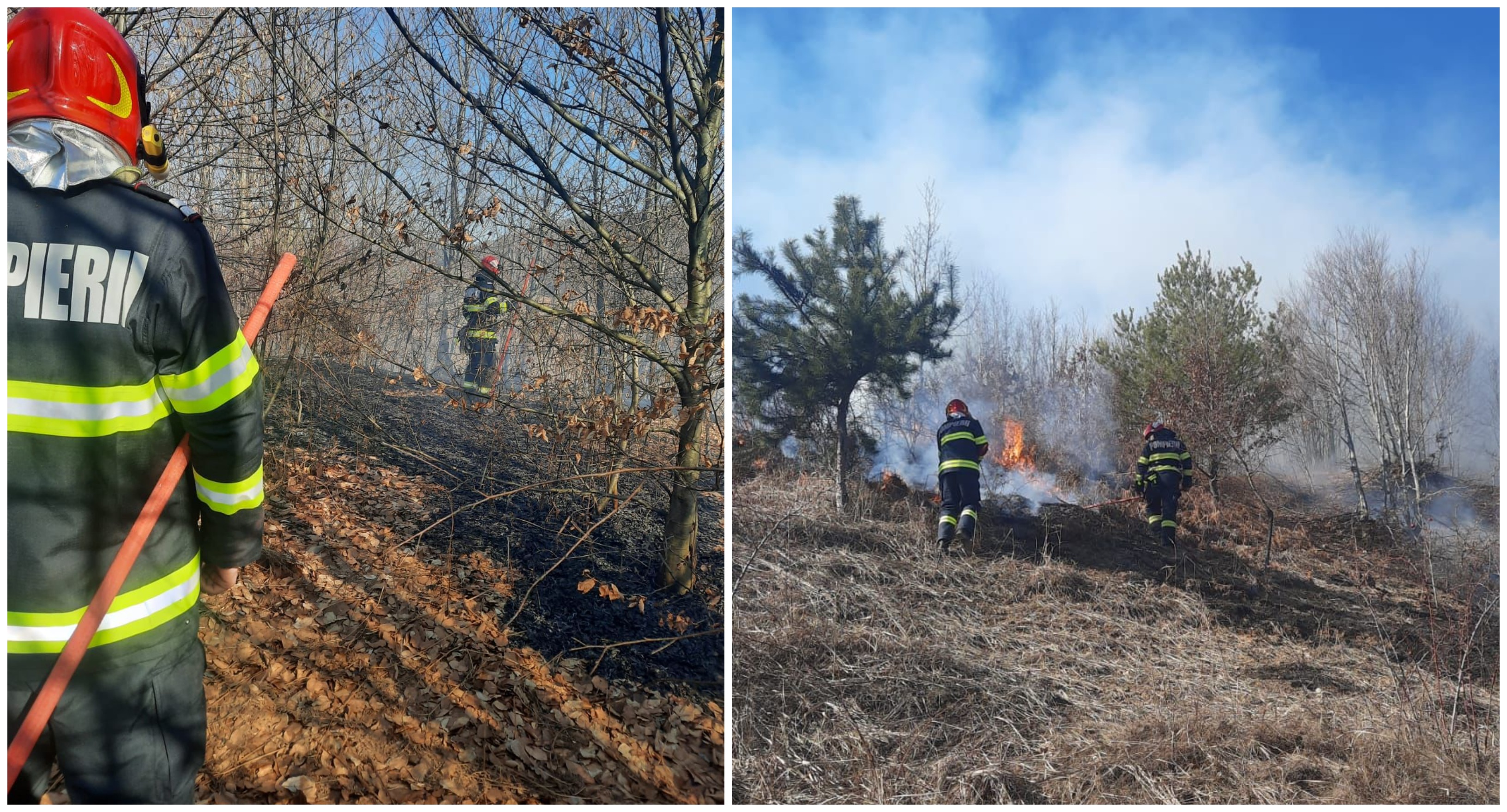 FOTO. Incendii în mai multe locuri din județul Satu Mare. Inclusiv la o pădure