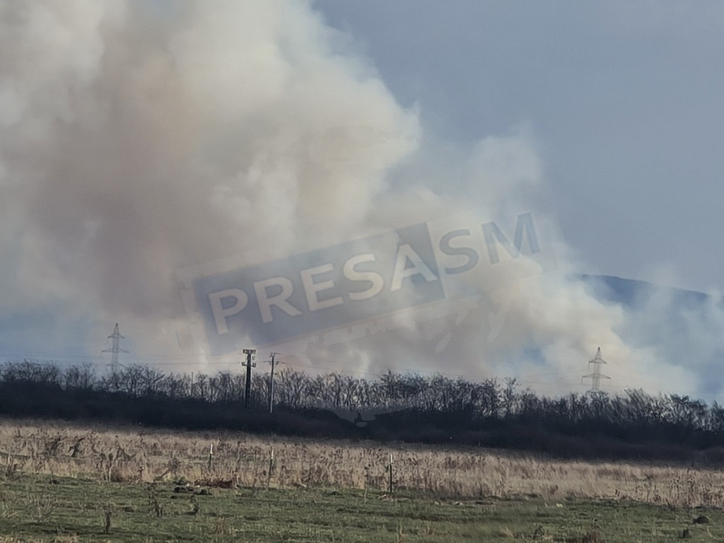 FOTO. Incendiu uriaș în județul Satu Mare. Fumul, vizibil de la mai mulți kilometri