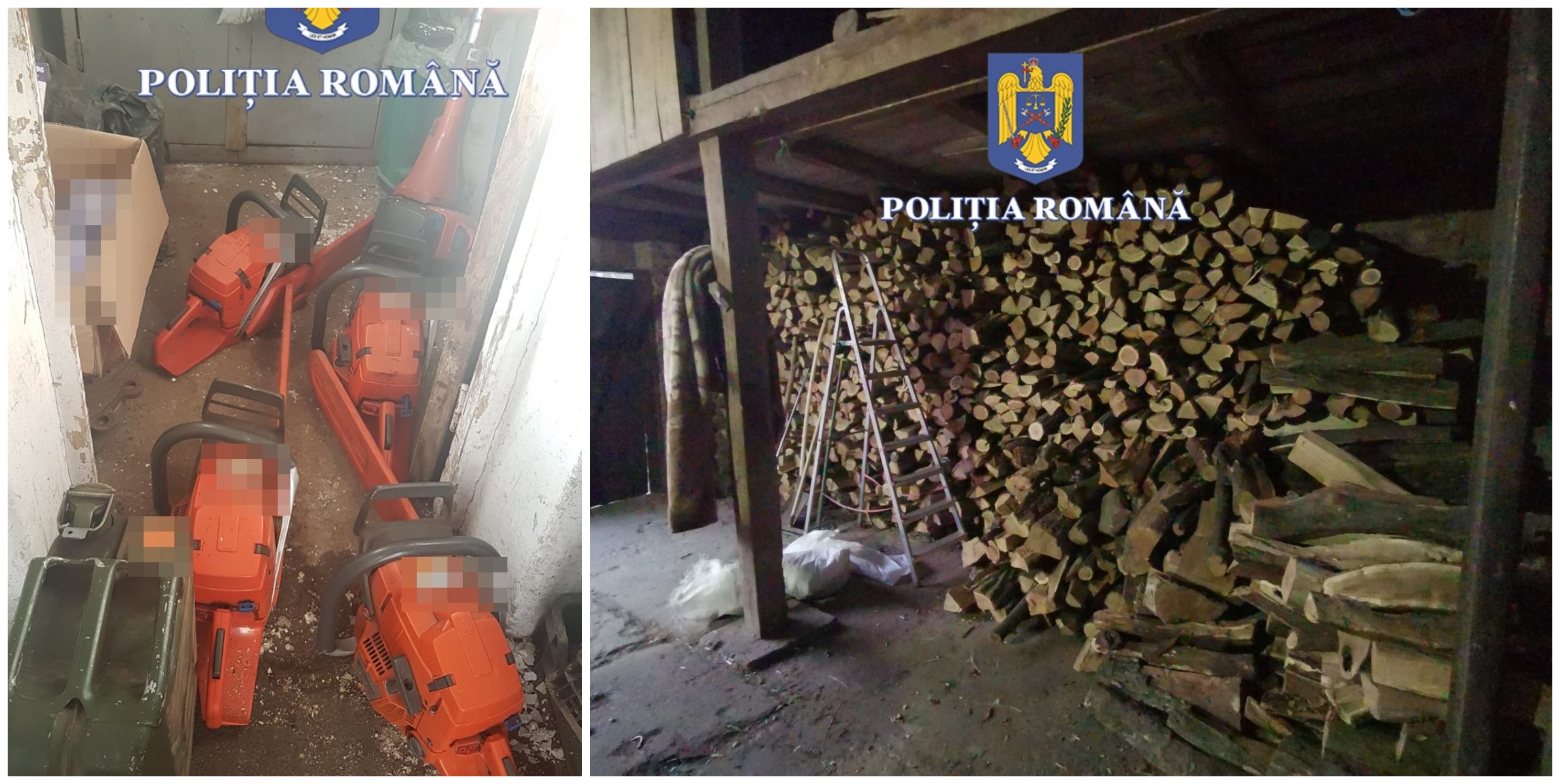 FOTO. Percheziții la un ocol silvic din zona Careiului