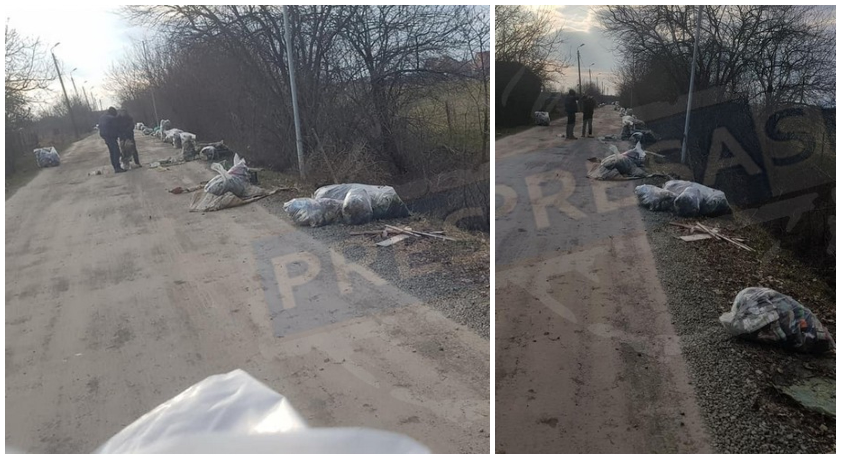 FOTO. Mobilizare a sătmărenilor. Au curățat una dintre cele mai primitive străzi din municipiu