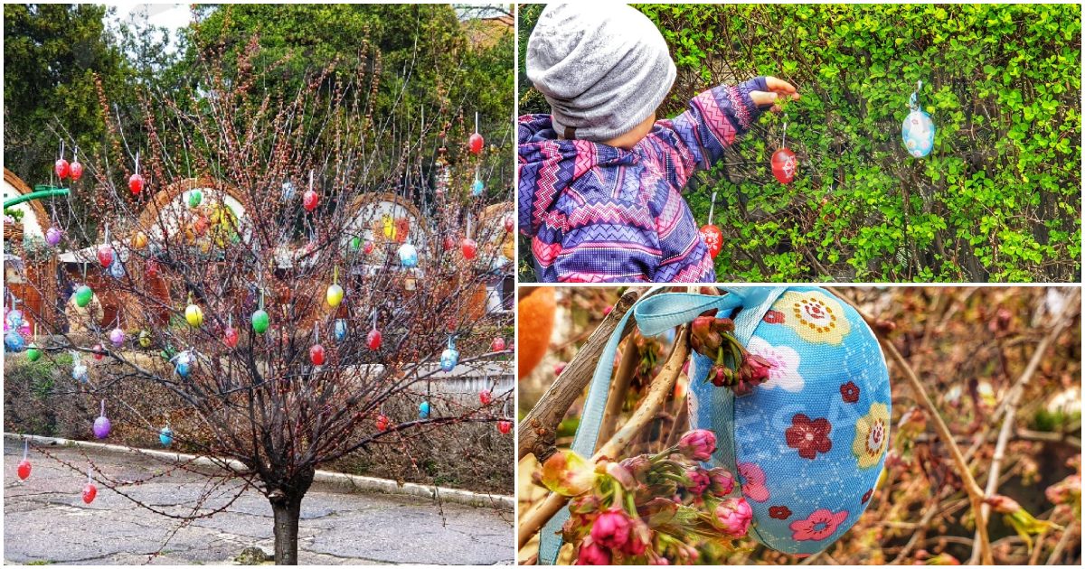 Copaci împodobiți cu ouă. Tradiția continuă la Satu Mare. Sătmărenii, invitați și ei să împodobească pomii