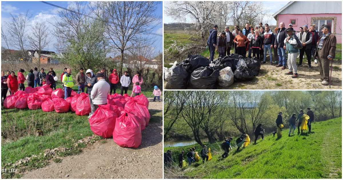 FOTO. Se face curat în tot județul! Asistații social, elevii și autoritățile au strâns tone de deșeuri
