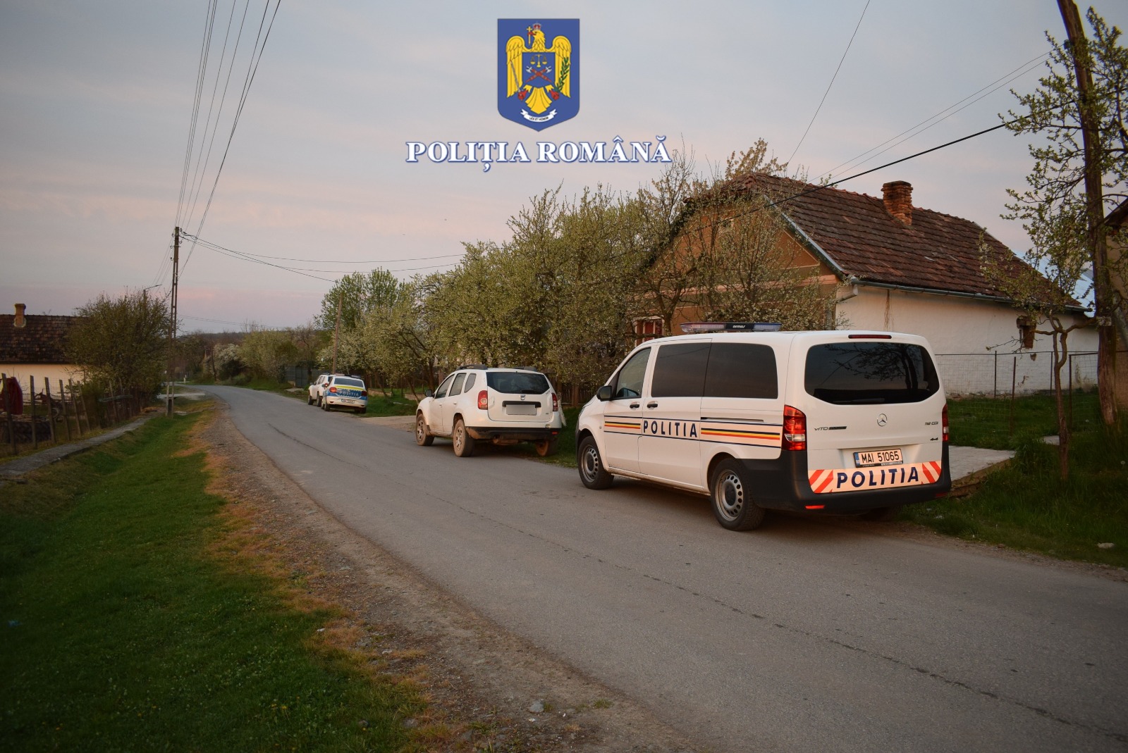 FOTOGALERIE. Percheziții în județul Satu Mare! Descinderi la o grupare de furt de lemne