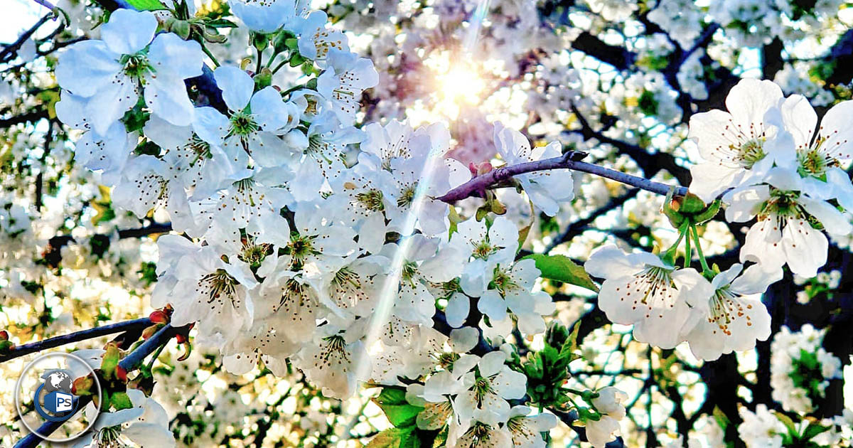 Echinocțiul de primăvară a avut loc pe 20 martie. Când vom schimba ora