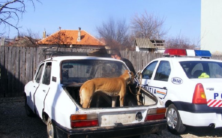 Doi tineri și-au dorit ceva deosebit pentru masa de Paște. S-au ales doar cu dosar penal