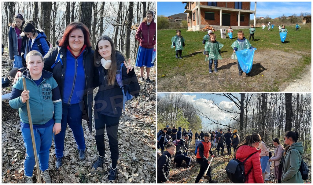 FOTO. Copiii fac curățenie și plantează copaci. Adulții îi taie și distrug natura