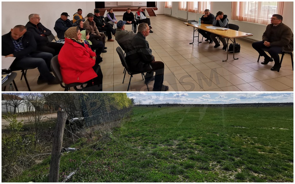 FOTO. Las Fierbinți de Satu Mare. Sătenii care se poartă prin tribunale și pe la poliție