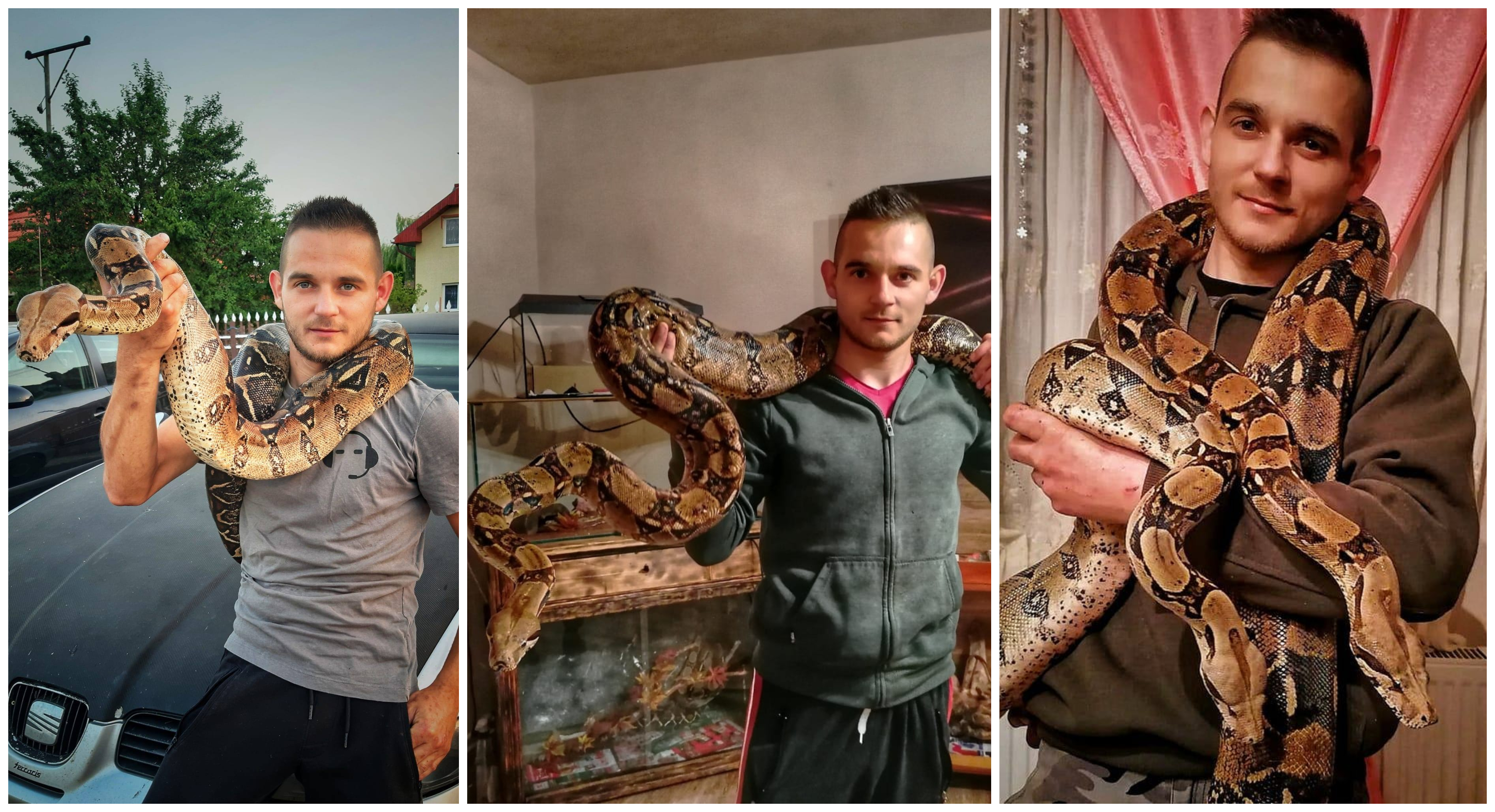 FOTOGALERIE. Pasiunea incredibilă a unui sătmărean: crește șerpi uriași, în propria casă
