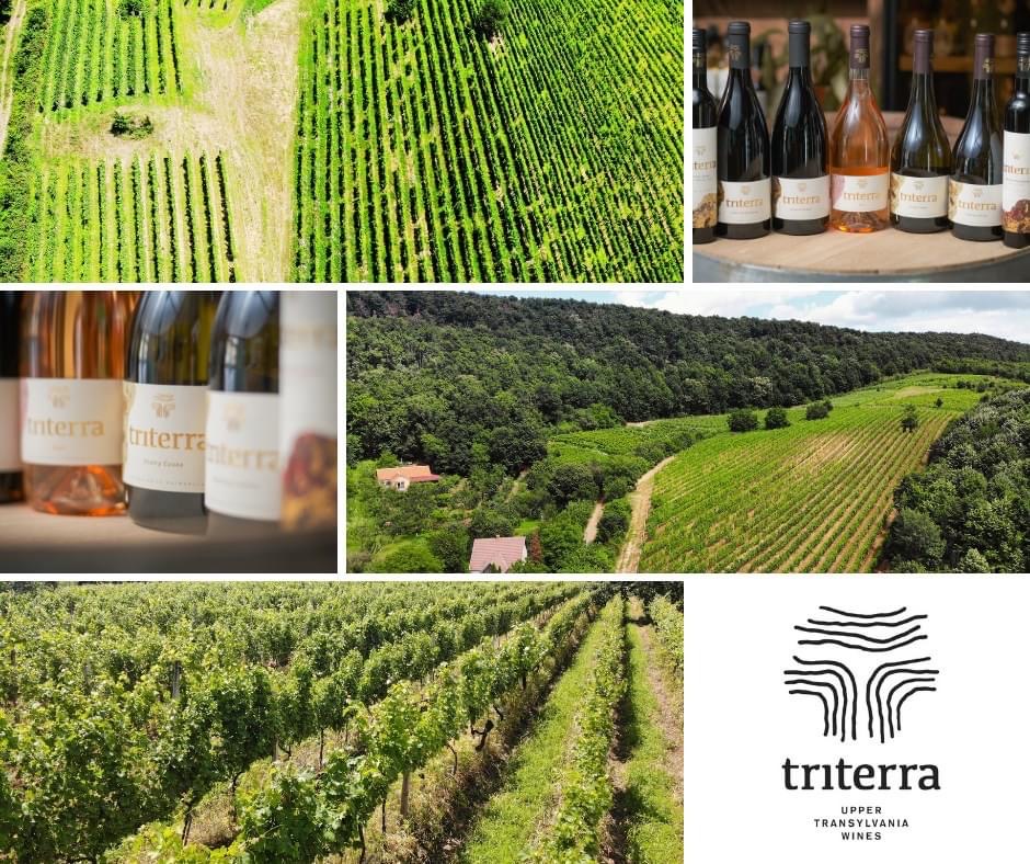 Vinul din Halmeu Vii, câștigător la concursul național „Povești cu vinuri românești”