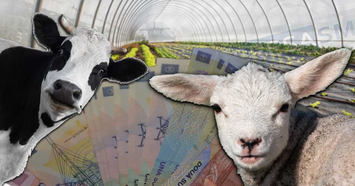 HARTĂ. Top investiții noi în agricultură. Satu Mare pe un loc fruntaș