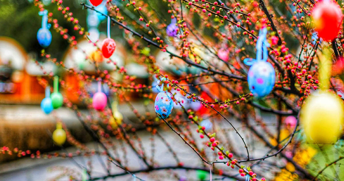 Cum va fi vremea de Florii și Paște, la Satu Mare. Ce vești au meteorologii