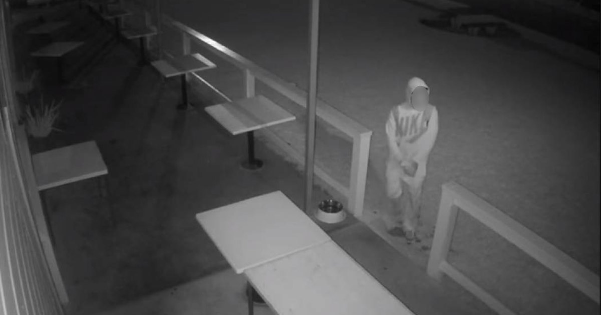 Furt dintr-un cazino. Urmărire ca-n filme prin centrul Sătmarului