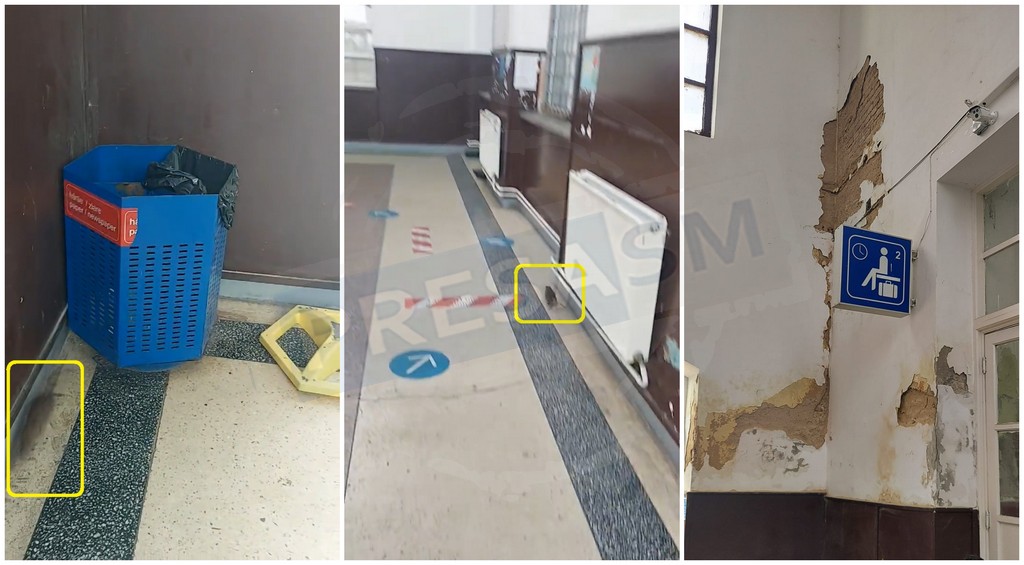 VIDEO. Imagini triste din Gara CFR Carei. Șobolani în sală, pereți scorojiți, toalete distruse de călători