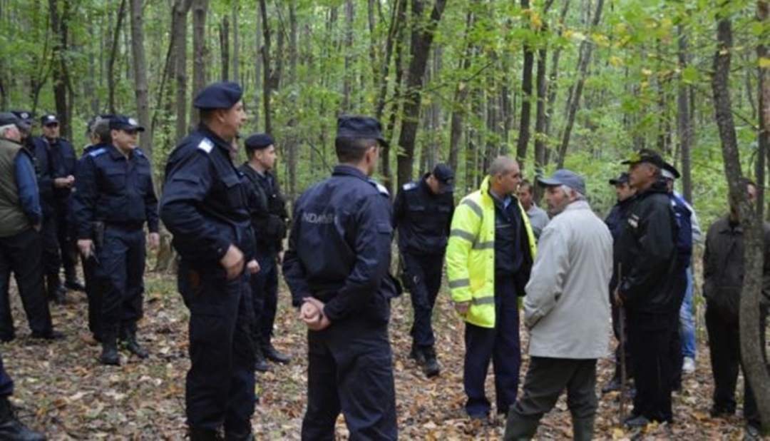 Alba-neagra în Justiție! Un patron din Oaș scapă de închisoare după o condamnare de NOUĂ ani!