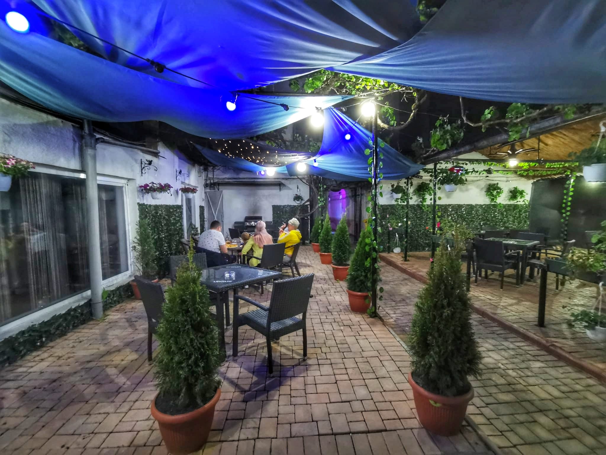 Descoperă gustul sănătății: cele mai populare ceaiuri și fresh-uri