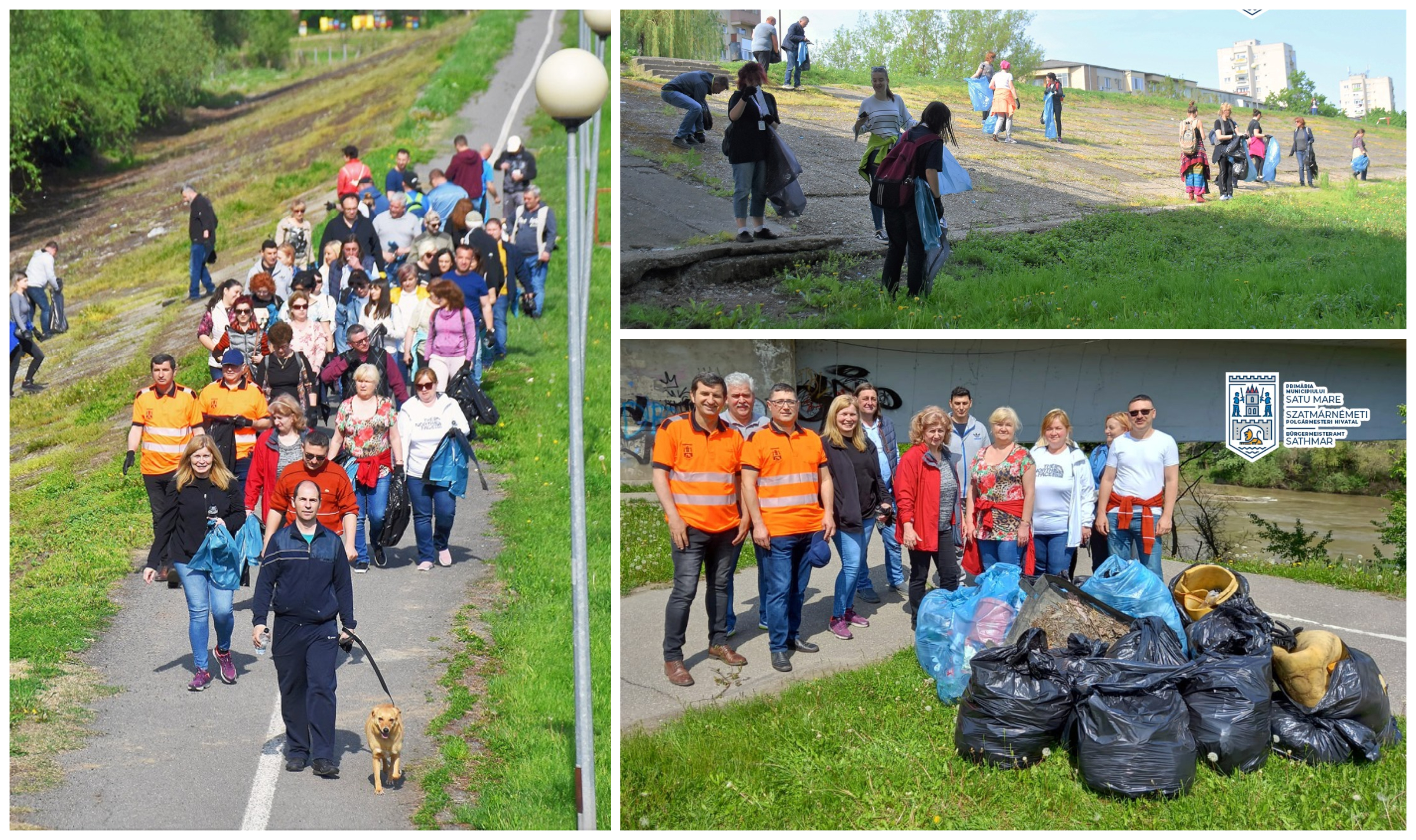 FOTOGALERIE. Angajații Primăriei Satu Mare, scoși din birouri și puși la strâns de deșeuri