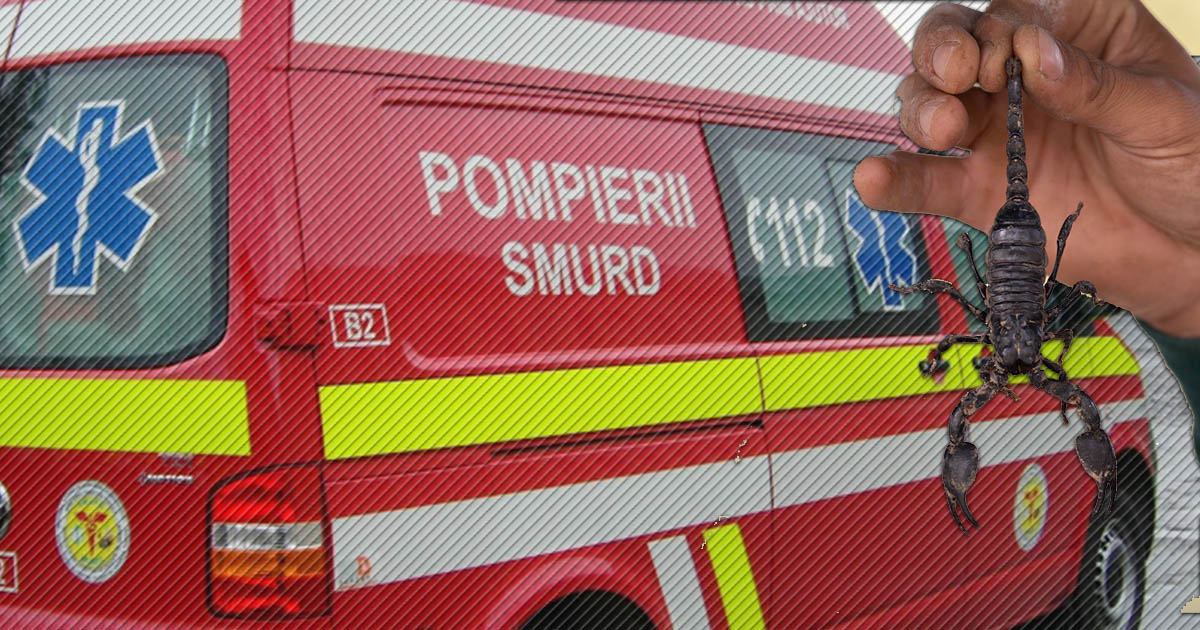 Apel de urgență în Satu Mare. O tânără susține că ar fi fost mușcată de un scorpion