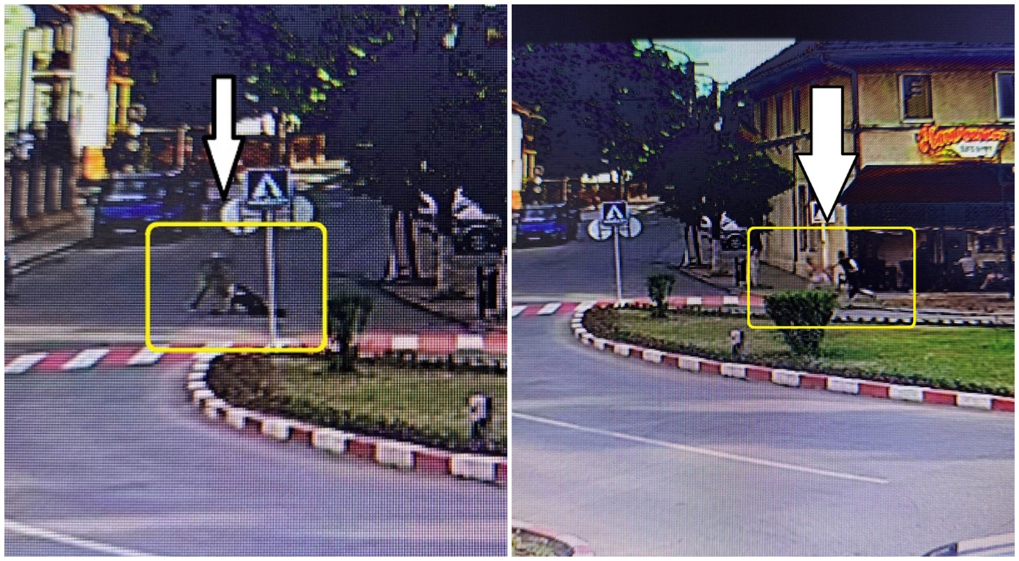 FOTO. Bătaie în plin centrul unui oraș din județul Satu Mare. În mijlocul drumului